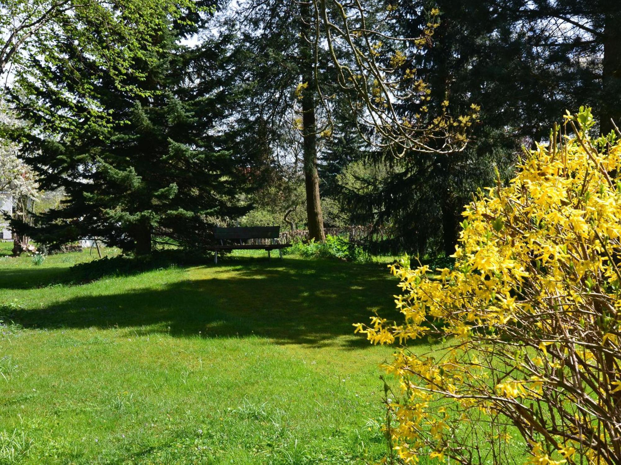 Apartment In Tabarz Thuringia Near The Forest Exteriör bild